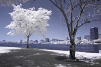 Infrared